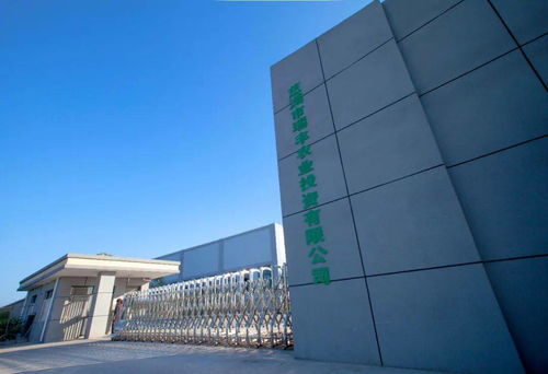 省級金獎 開發(fā)區(qū)這家公司的精品鮮菇真不錯