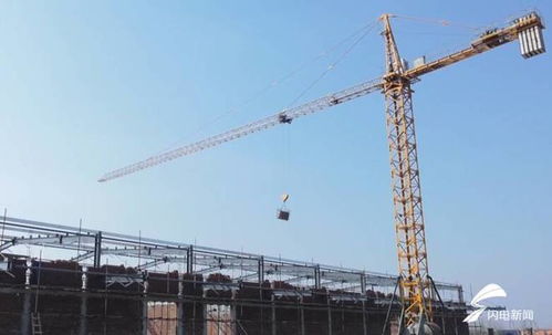 項目建設(shè)熱火朝天 助力 濰坊造 預(yù)制菜賣全國