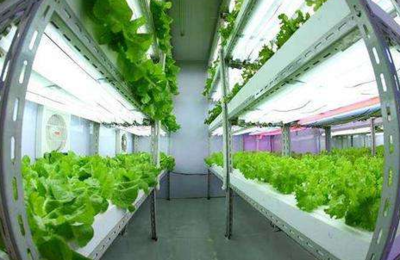 臺灣源鮮集團(tuán)董事長蔡文清:臺植物工廠產(chǎn)品將營銷到北歐各國,未來將開發(fā)北歐市場