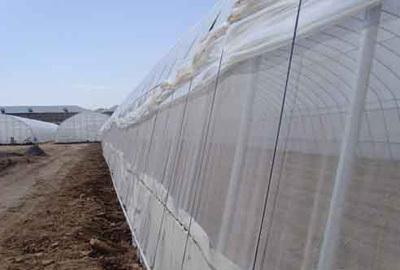 【廠家生產聚乙烯網帶包裝 防蟲網 窗紗網(圖)】價格_廠家_圖片 -