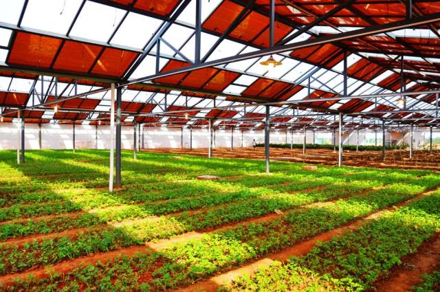 顛覆 | 不只是工廠,工業4.0時代也將顛覆農業