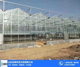 富峰農(nóng)業(yè) 信陽文洛式溫室廠家的專業(yè)優(yōu)勢(shì)與發(fā)展前景