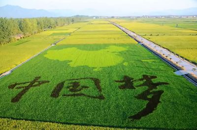 鄉(xiāng)村振興視域下的工農(nóng)關(guān)系變革 改革開(kāi)放四十年的啟示