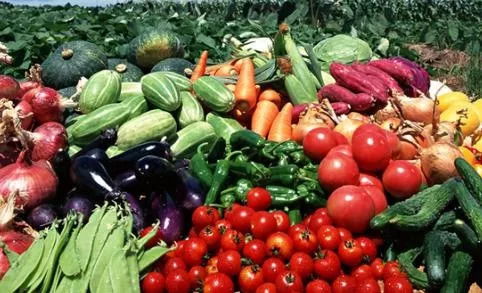 商務(wù)部關(guān)于做好農(nóng)產(chǎn)品產(chǎn)銷(xiāo)對(duì)接工作的通知