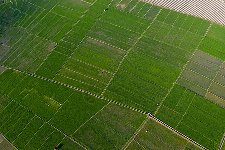 航拍桂林會(huì)仙濕地農(nóng)田 生態(tài)農(nóng)業(yè)的詩(shī)意畫(huà)卷