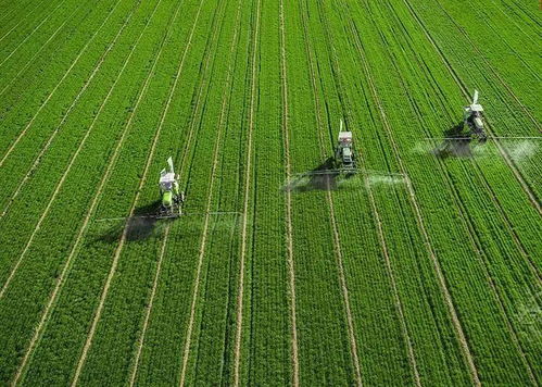 百果園發力果蔬加工 以全程托管服務增值農業，賦能生態農業新生態