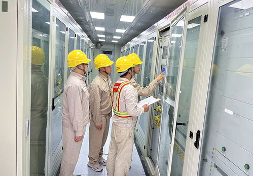 國(guó)網(wǎng)安岳縣供電公司 黨建帶團(tuán)建賦能 人工搬運(yùn)服務(wù)助力重大項(xiàng)目建設(shè)